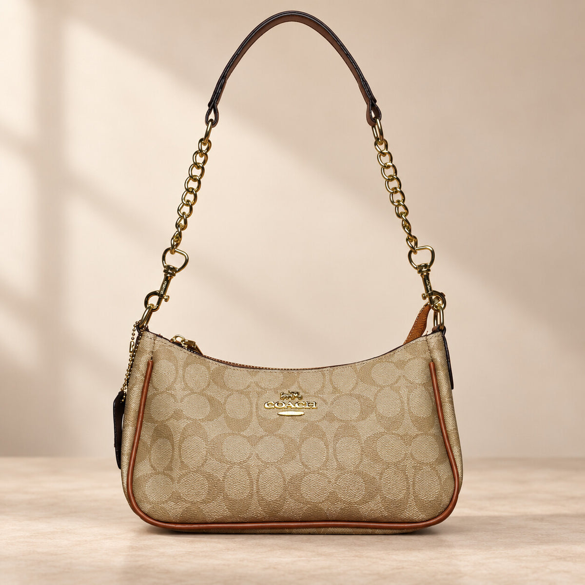 F351 handbag premium catalog image