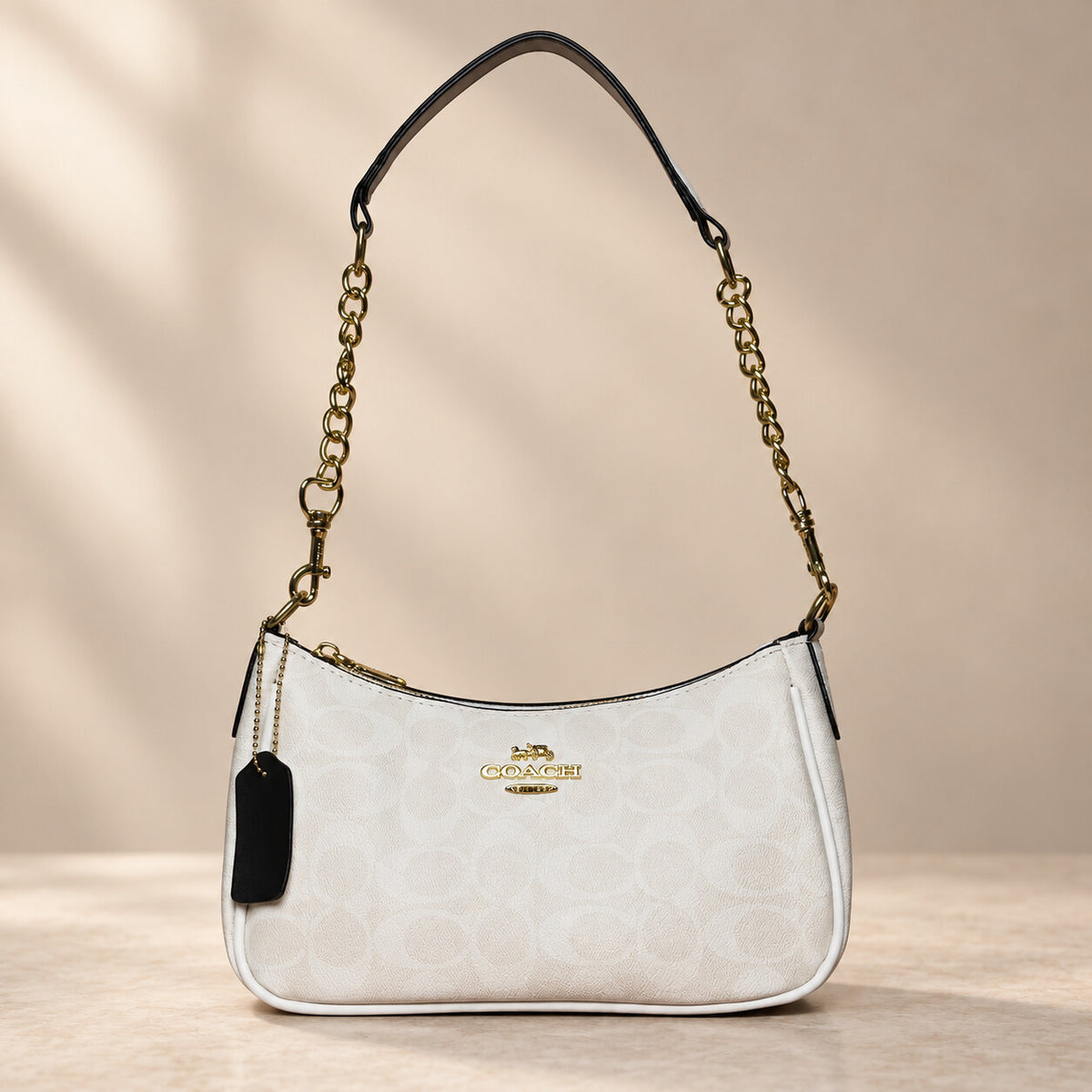 F353 handbag premium catalog image